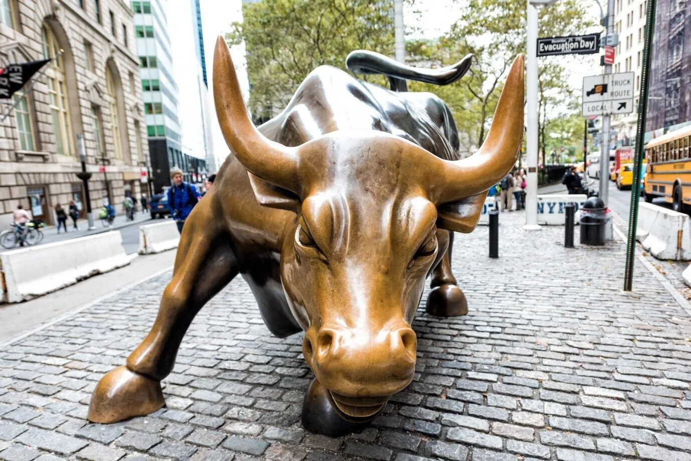 stock market bull